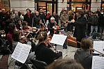 IMG_3635.jpg