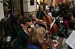 IMG_3636.jpg