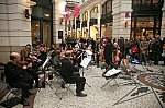 IMG_3673.jpg