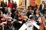 IMG_3684.jpg